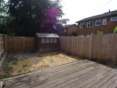 Picture 11